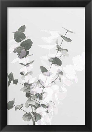 Framed Eucalyptus Creative 8 Print