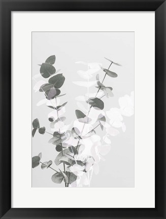 Framed Eucalyptus Creative 8 Print