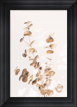 Framed Eucalyptus Creative Gold 3 Print
