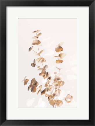 Framed Eucalyptus Creative Gold 3 Print