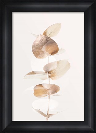 Framed Eucalyptus Creative Gold 4 Print