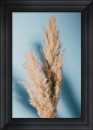 Framed Pampas Grass Blue Print