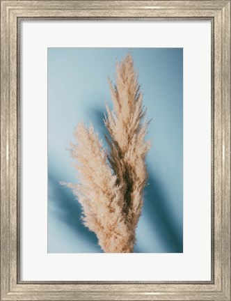 Framed Pampas Grass Blue Print