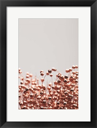 Framed Dried Grass Copper 4 Print
