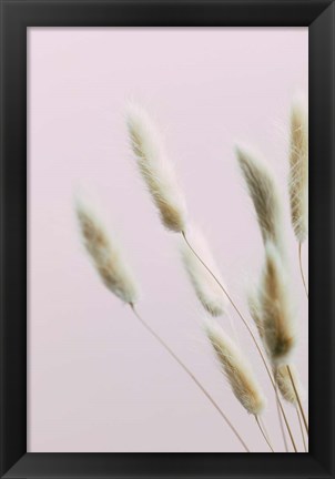 Framed Bunny Grass Pink 2 Print