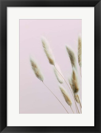 Framed Bunny Grass Pink 2 Print