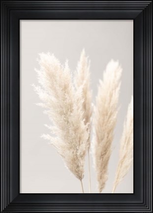 Framed Pampas Grass Grey 2 Print