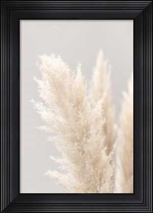 Framed Pampas Grass Grey 3 Print