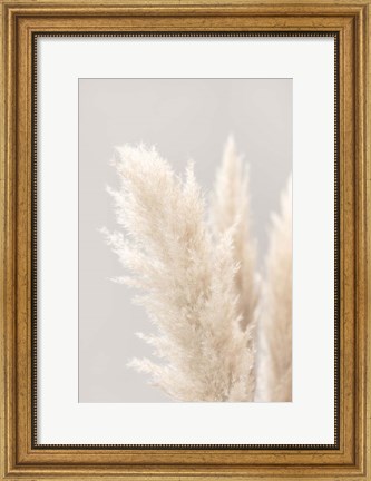 Framed Pampas Grass Grey 3 Print