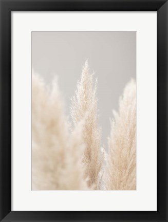 Framed Pampas Grass Grey 4 Print