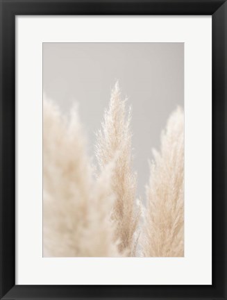 Framed Pampas Grass Grey 4 Print