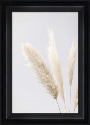 Framed Pampas Grass Grey 8 Print