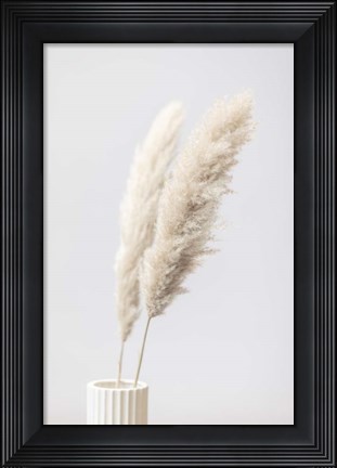 Framed Pampas Grass Grey 11 Print