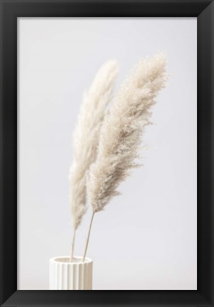 Framed Pampas Grass Grey 11 Print