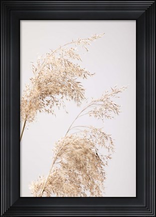 Framed Reed Grass Grey 6 Print