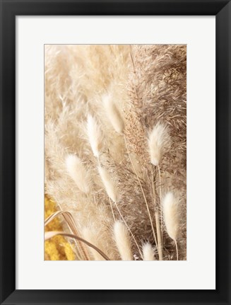 Framed Dried Bouquet Print