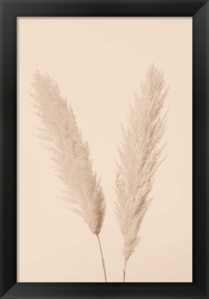 Framed Pampas Grass Beige 1 Print