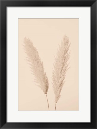 Framed Pampas Grass Beige 1 Print