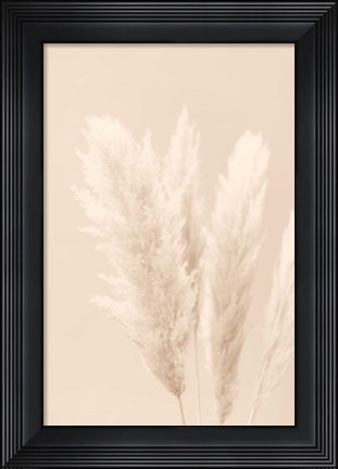 Framed Pampas Grass Beige 2 Print