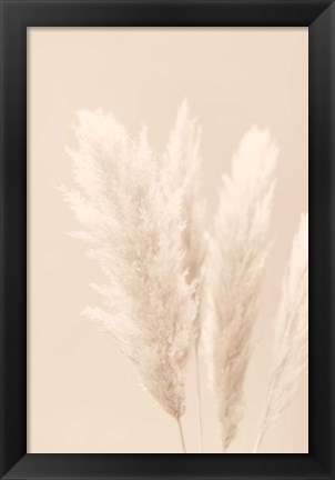 Framed Pampas Grass Beige 2 Print