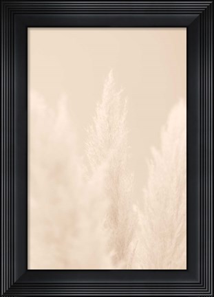 Framed Pampas Grass Beige 4 Print