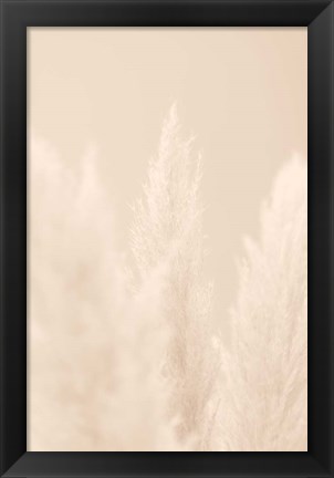 Framed Pampas Grass Beige 4 Print