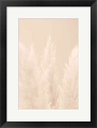 Framed Pampas Grass Beige 4 Print
