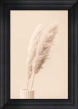 Framed Pampas Grass Begie 13 Print
