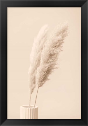 Framed Pampas Grass Begie 13 Print