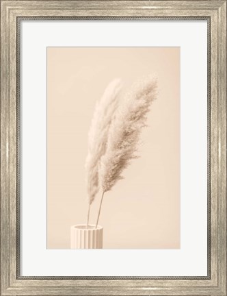 Framed Pampas Grass Begie 13 Print
