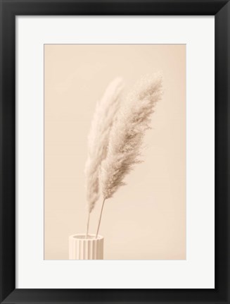 Framed Pampas Grass Begie 13 Print