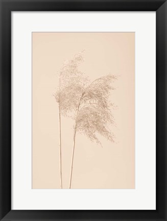 Framed Reed Grass Beige 2 Print