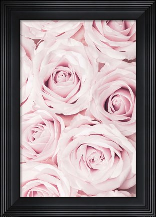 Framed Pink Roses No 2 Print