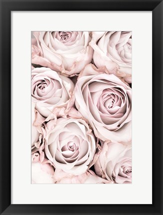 Framed Pink Roses No 1 Print