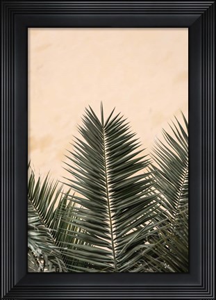 Framed Palm Leaves And Wall 1 Print