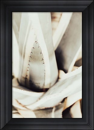 Framed Plant Close Up 1 Print