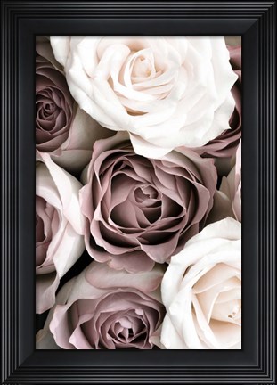 Framed Roses Print