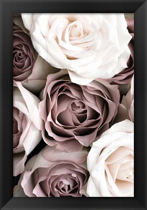 Framed Roses Print