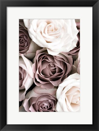 Framed Roses Print