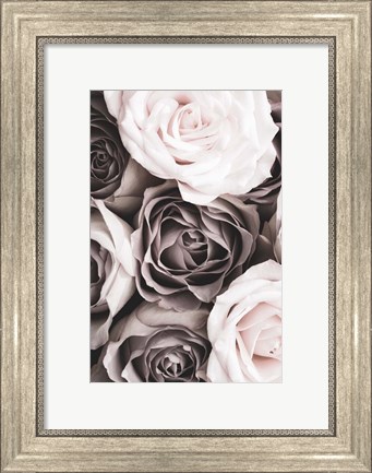 Framed Roses 2 Print