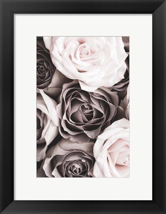 Framed Roses 2 Print