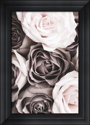 Framed Roses 2 Print