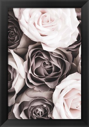 Framed Roses 2 Print