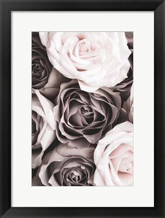 Framed Roses 2 Print