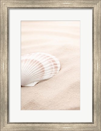 Framed Shell 3 Print