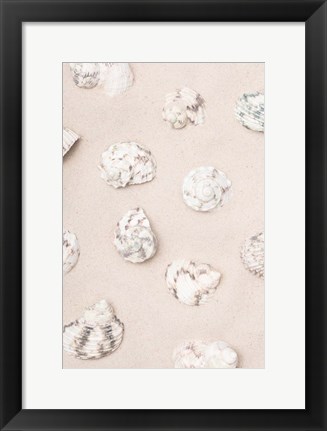 Framed Shells 2 Print