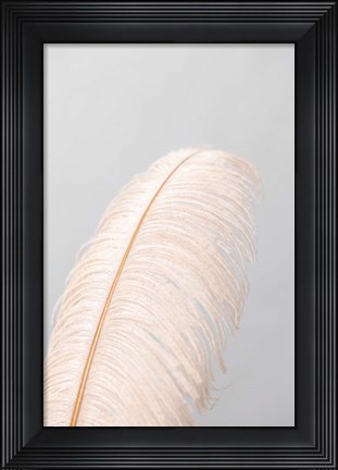 Framed Feather 1 Print