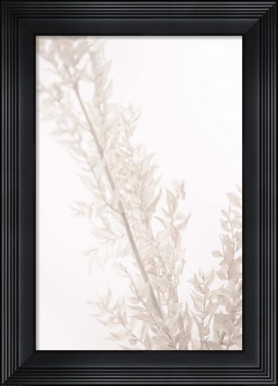 Framed Dried Straws Print
