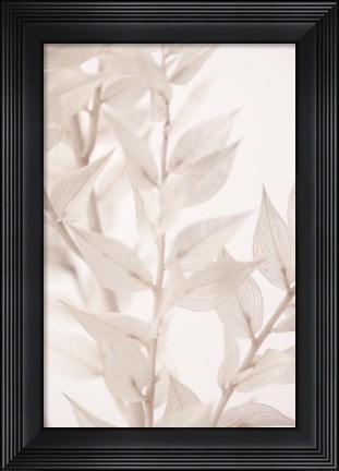 Framed Dried Straws 3 Print