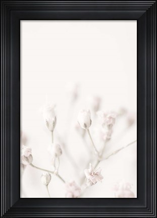Framed Pink Small Flowers Print